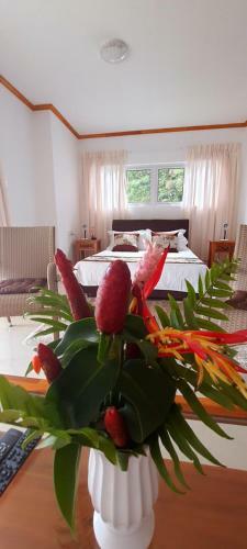 Le Chant De Merle Studios And Apartments