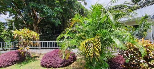 Le Chant De Merle Studios And Apartments