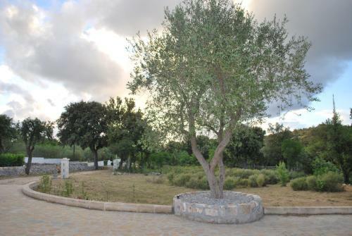 Apartamento Il Trullo Bianco