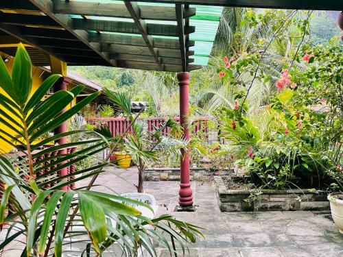 Apartamento Effie Mountain View Coco Villa