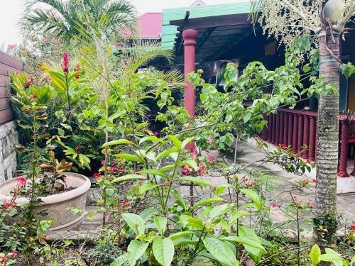 Apartamento Effie Mountain View Coco Villa