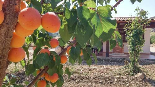 Villa Elena Vicino La Riserva Naturale Dello Zingaro