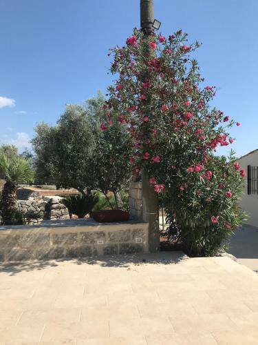 Borgo Delle Stelle