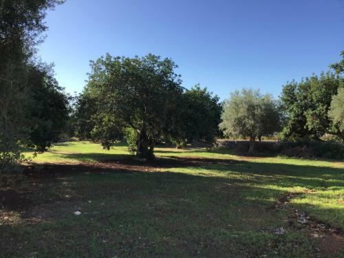 Borgo Delle Stelle