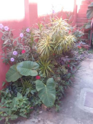Bed & Breakfast K6 Chambres D'h�te