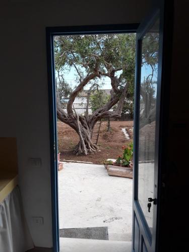 Il Casalino