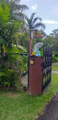 Hostal Orchid Sunset Guest House