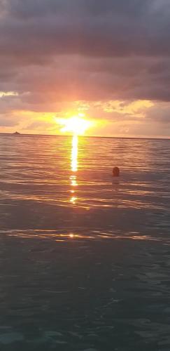 Hostal Orchid Sunset Guest House