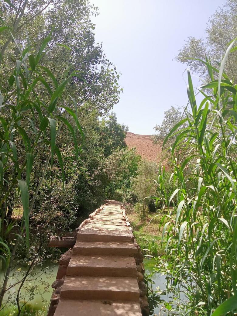 Hostal Dar Mezyana Dades