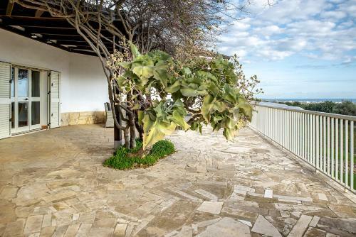 Villa Beabella Con Vista Mare By Wonderful Italy