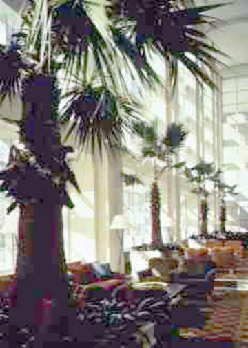Hotel Hyatt Regency Mccormick