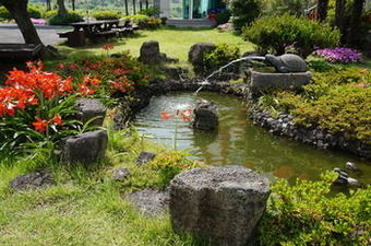 Hostal Jeju Feel House