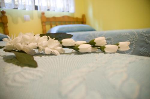 Hostal Pensi�n Aries II