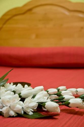 Hostal Pensi�n Aries II