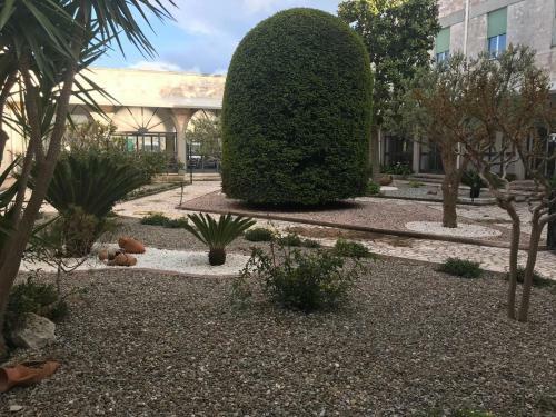 Hotel Trullo Dell'immacolata