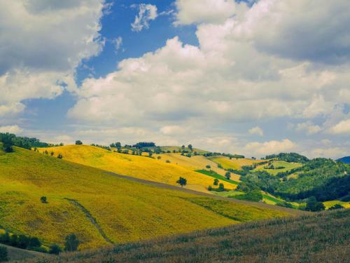 Elegant Villa In Palazzata With Country Views
