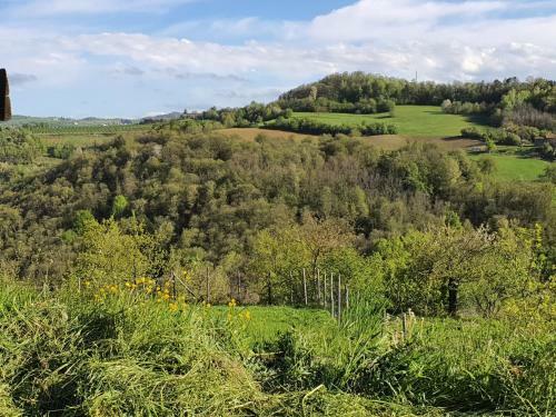 Bed & Breakfast Cascina Brichat Alta Langa