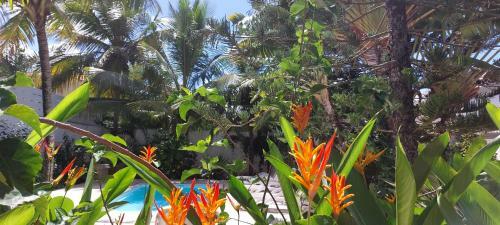 Lush Garden Villa House 1