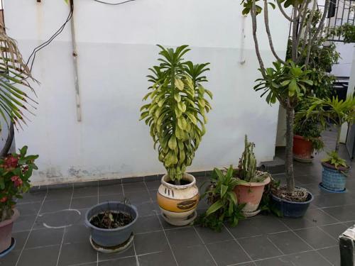 Apartamento La Case