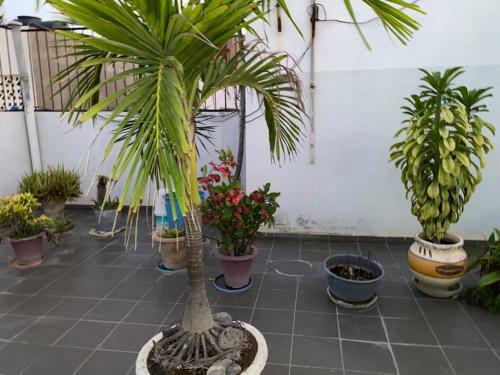 Apartamento La Case
