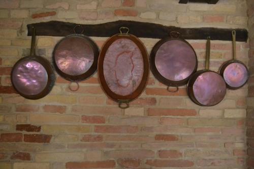 Agroturismo Barbagianni