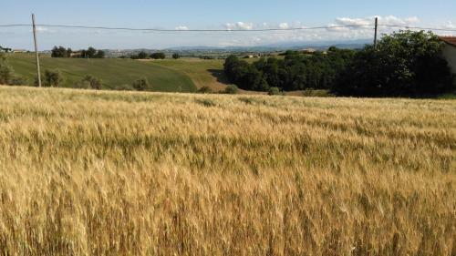 Agroturismo Barbagianni