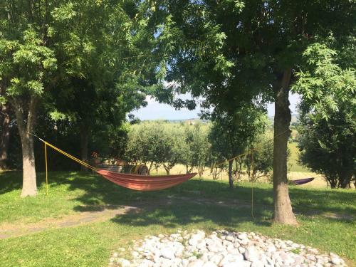 Bed & Breakfast Monts�gur