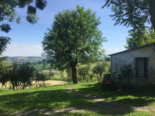 Bed & Breakfast Monts�gur