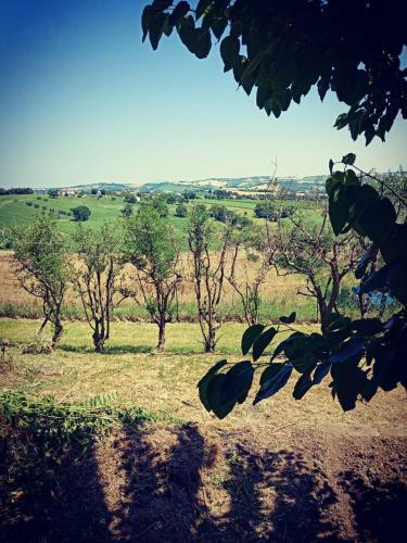 Bed & Breakfast Monts�gur