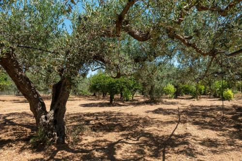 Appartamento In Campagna A Sciacca