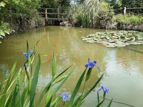 Apartamento Oltre Il Giardino