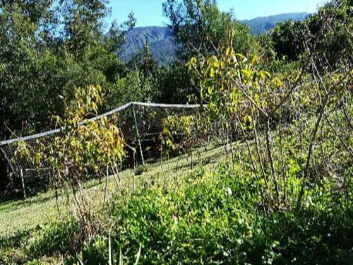 Bed & Breakfast L'estagnon