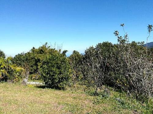 Bed & Breakfast L'estagnon