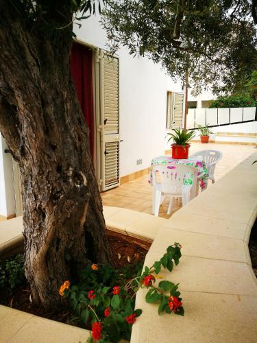 Apartamento Timpi Russi - La Palma
