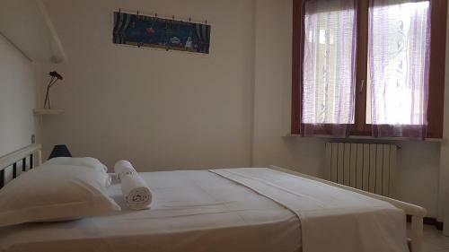 G -suite Senigallia