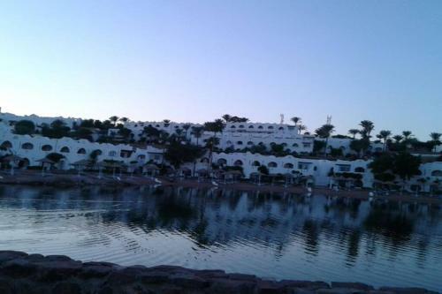 Apartamento Studio At Prestige Domina Coral Bay With Kitchenette