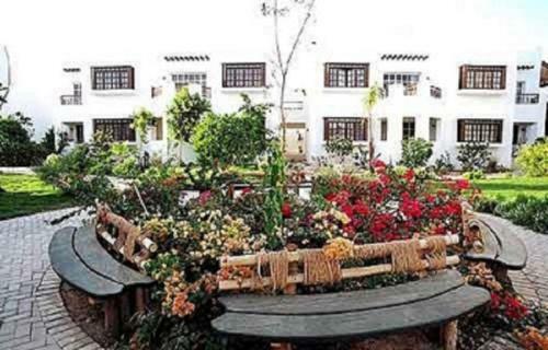 Sharm Holidays Apartment