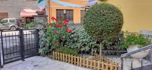 Apartamento Casa Papillon