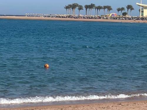 Hotel Porto Sharm - Easy Rent