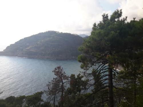 Relax