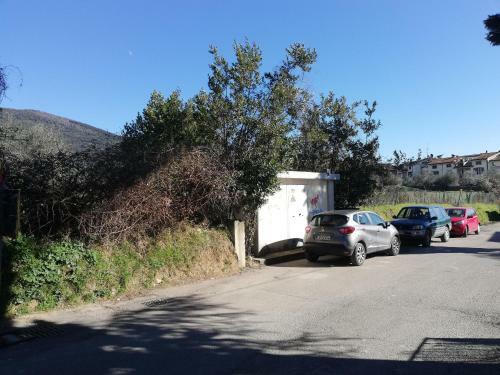 B&B Querceto