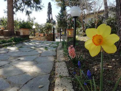 B&B Querceto