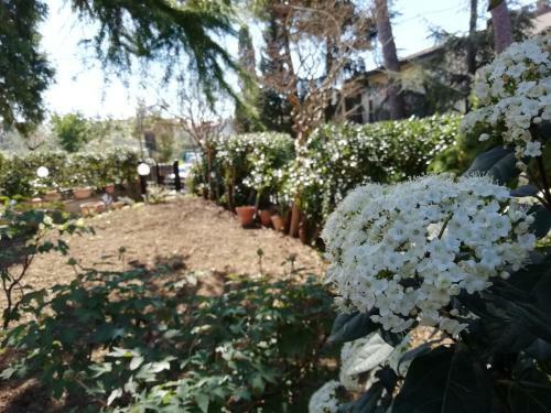 B&B Querceto