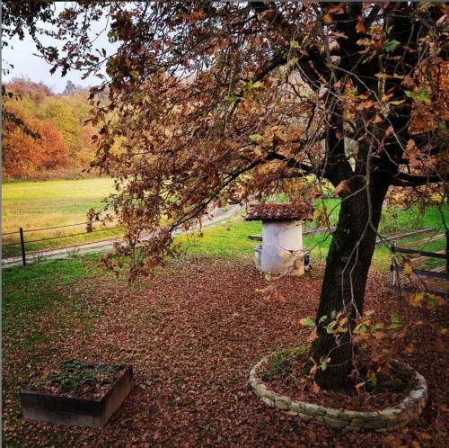 Cameloth B&B