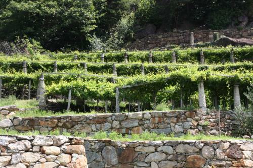 Bed & Breakfast Relais Del Brigante