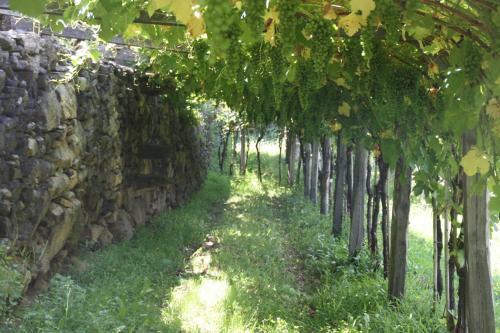 Bed & Breakfast Relais Del Brigante