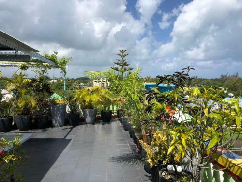 Apartamento Lapiroguevilla