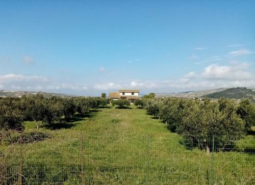Villa Torre Salsa