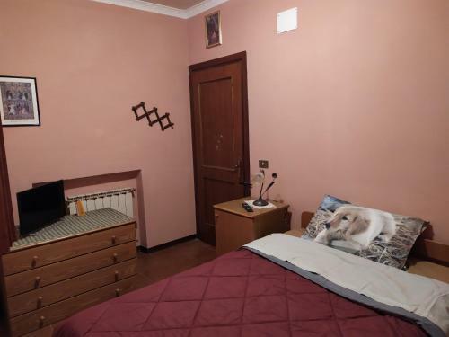 Hostal Affittacamere Mina