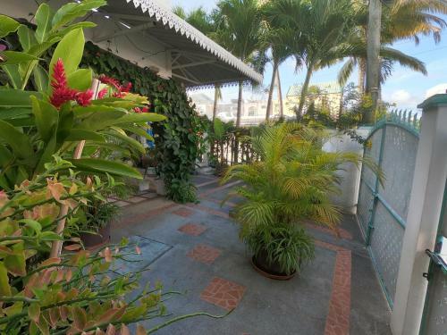 Hostal Appartement & Studio Lolla